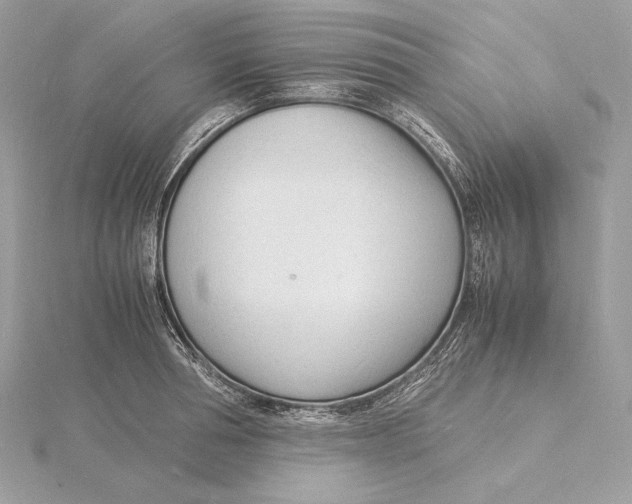 X0000115840994200912041704