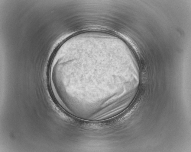 X0000115840995200912041704