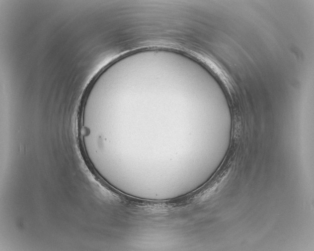 X0000115840999200912041704