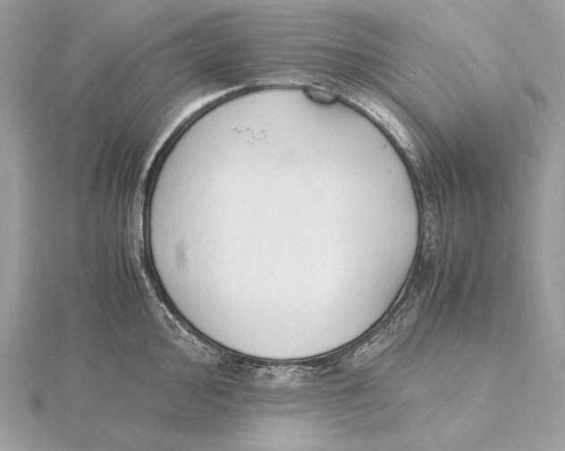 X0000115841000200912041704