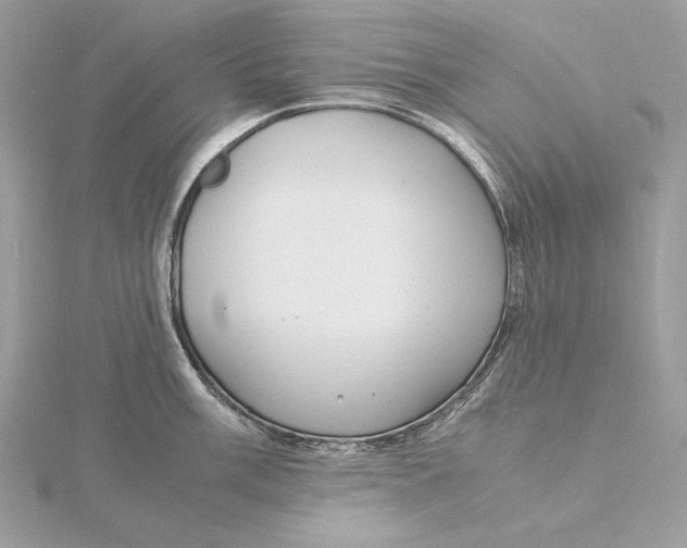 X0000115841003200912041704