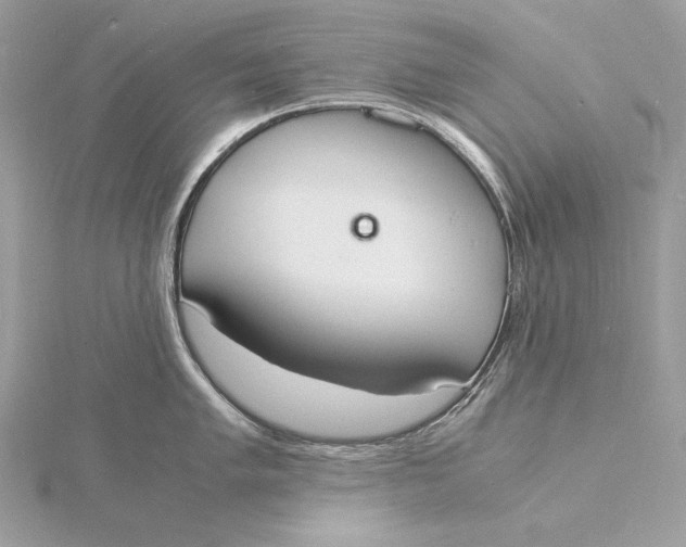 X0000115841005200912041704