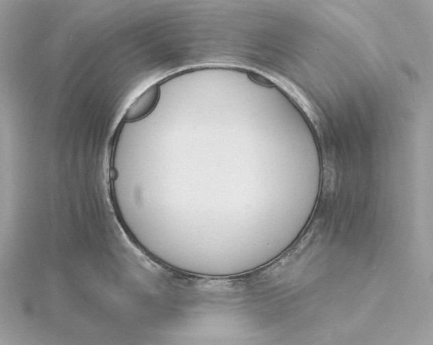 X0000115841006200912041704