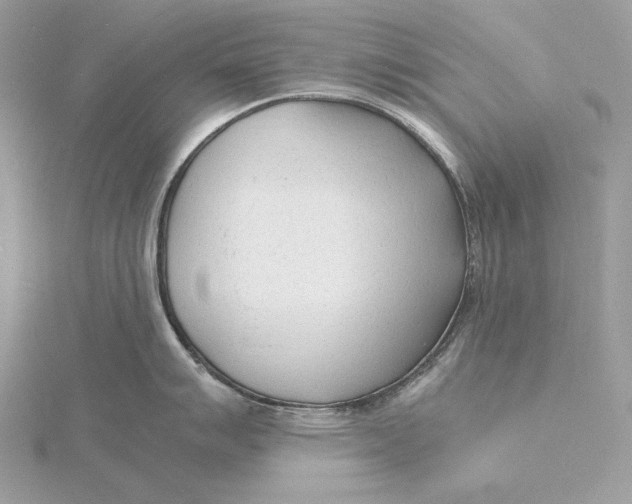 X0000115841007200912041704