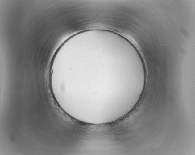 X0000115841008200912041704