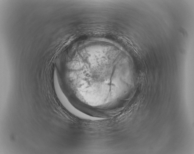 X0000115841009200912041704