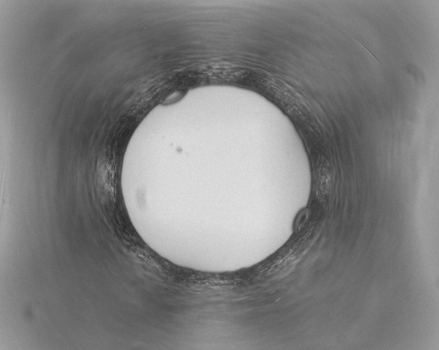 X0000115841010200912041704