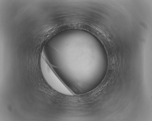 X0000115841013200912041704