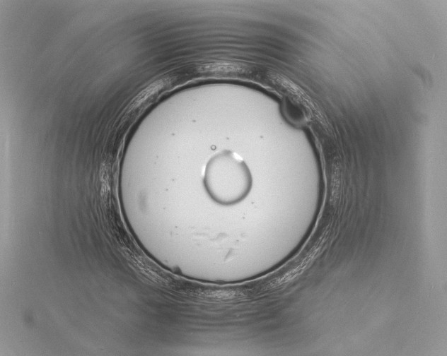 X0000115841017200912041704