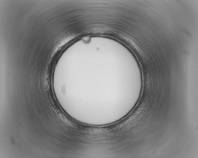 X0000115841018200912041704