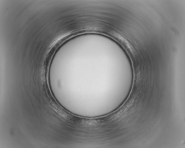 X0000115841019200912041704