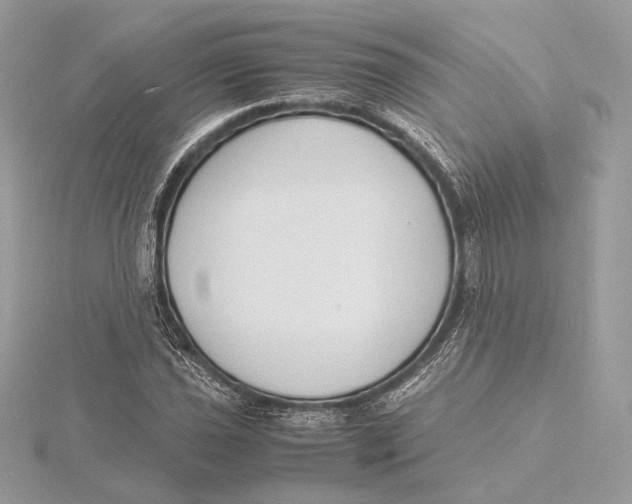 X0000115841021200912041704