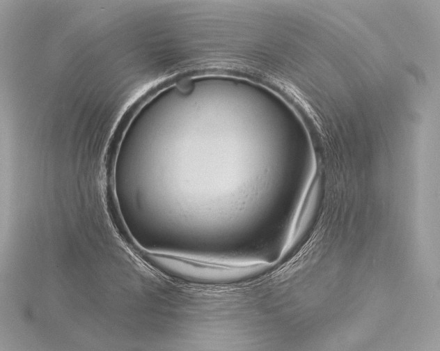 X0000115841024200912041704