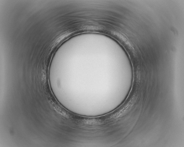 X0000115841025200912041704