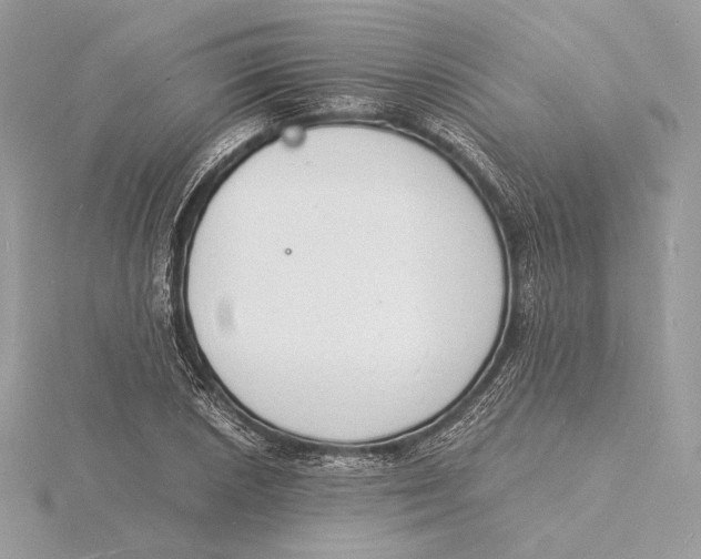 X0000115841026200912041704