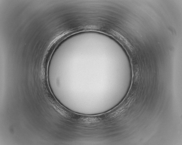 X0000115841027200912041704