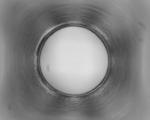 X0000115841029200912041704