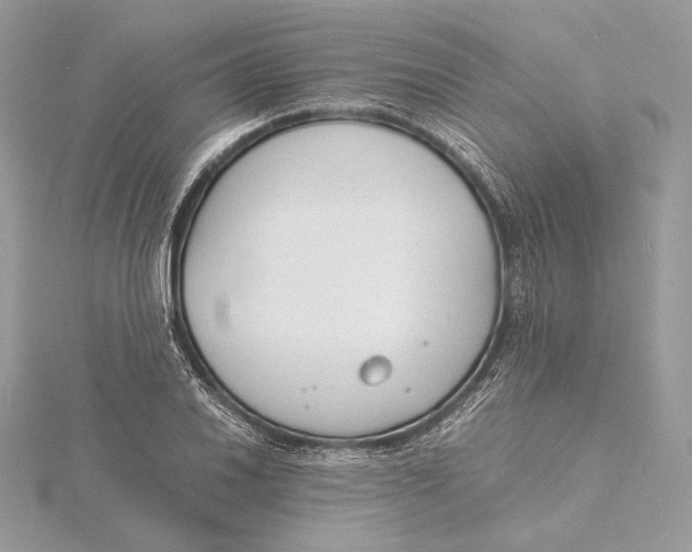 X0000115841030200912041704