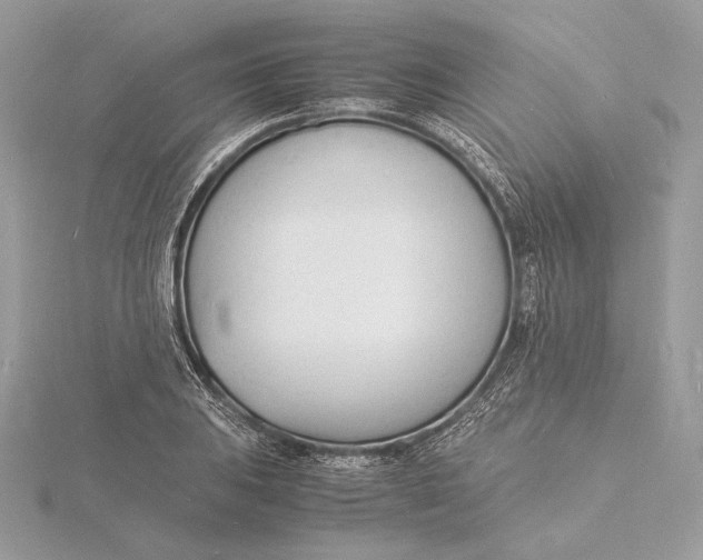 X0000115841031200912041704