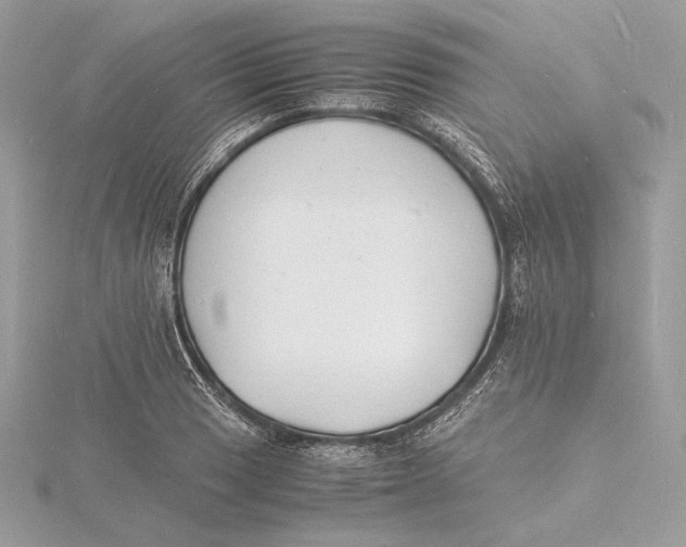 X0000115841033200912041704