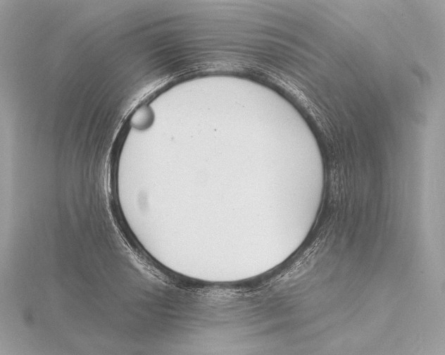 X0000115841034200912041704