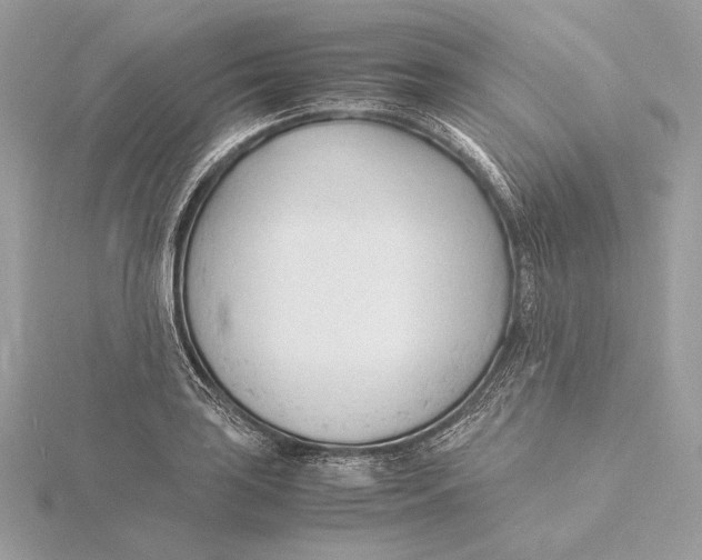 X0000115841035200912041704