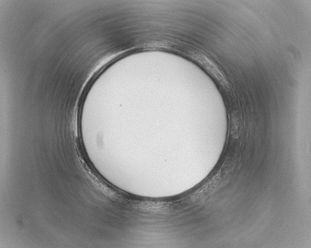 X0000115841036200912041704