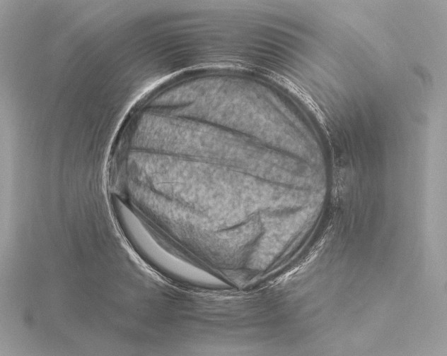 X0000115841037200912041704