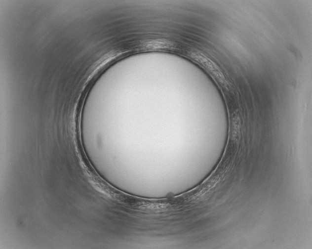 X0000115841039200912041704