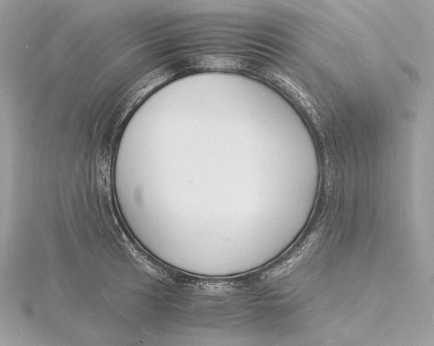 X0000115841041200912041704