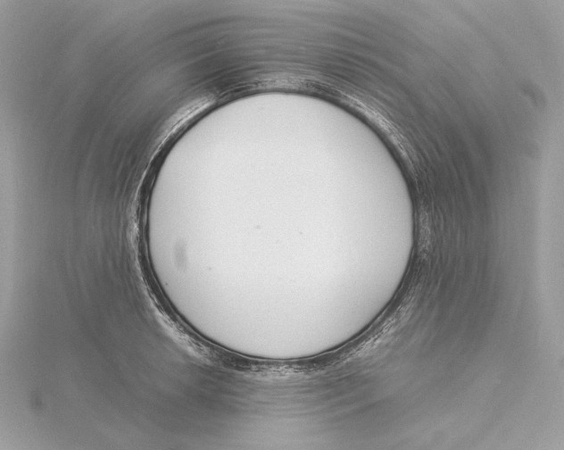 X0000115841042200912041704