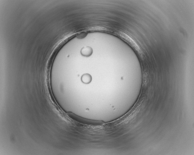 X0000115841043200912041704