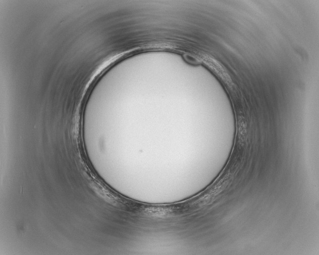 X0000115841044200912041704