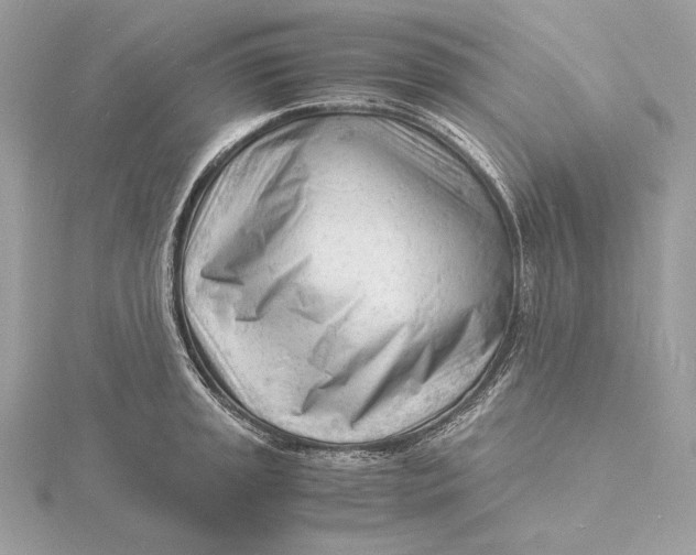 X0000115841045200912041704