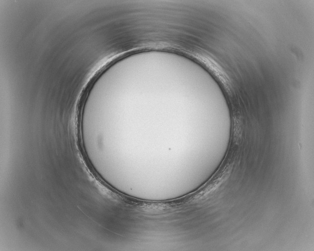 X0000115841046200912041704