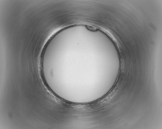 X0000115841048200912041704