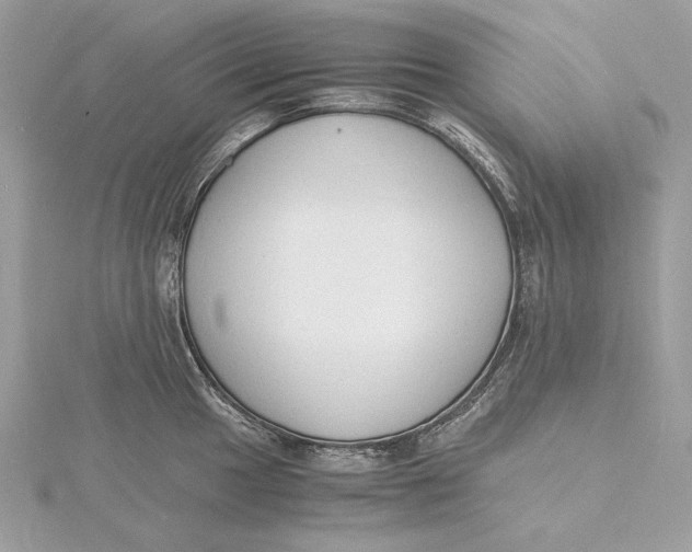 X0000115841049200912041704