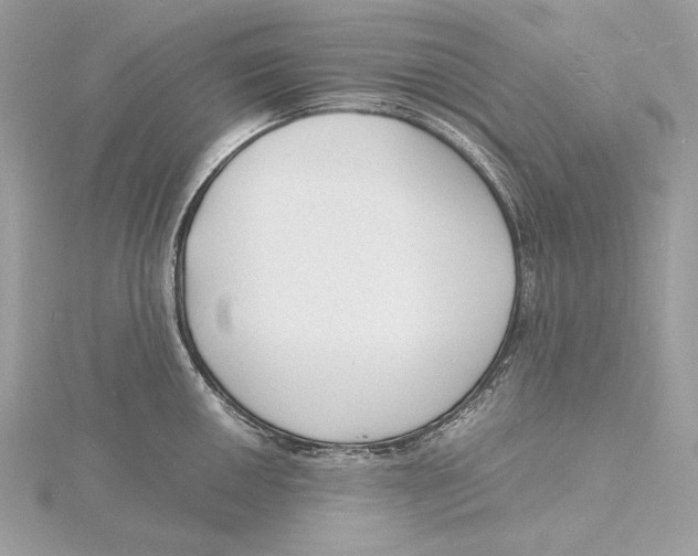 X0000115841050200912041704