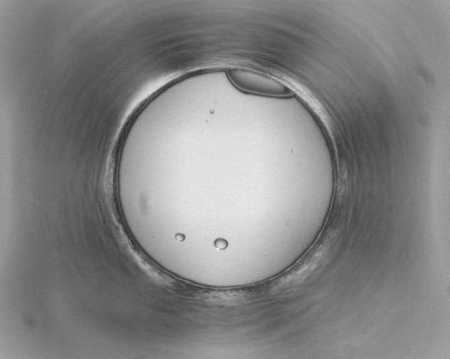 X0000115841053200912041704