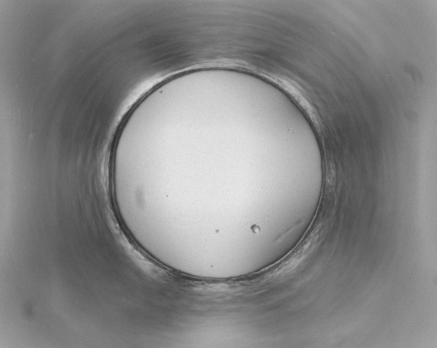 X0000115841054200912041704