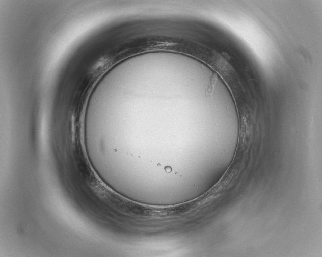 X0000115841055200912041704