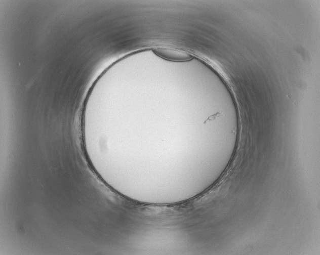 X0000115841056200912041704