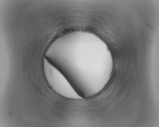 X0000115841057200912041704