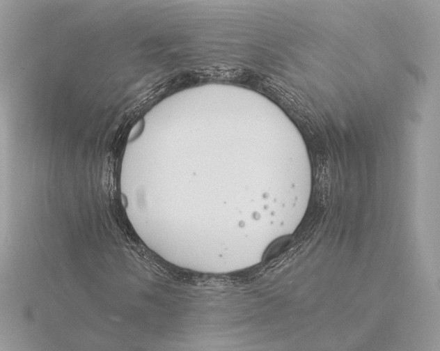 X0000115841058200912041704