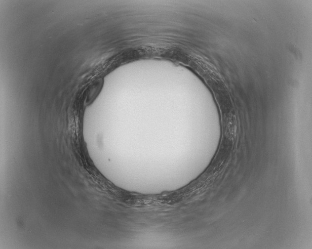 X0000115841061200912041704