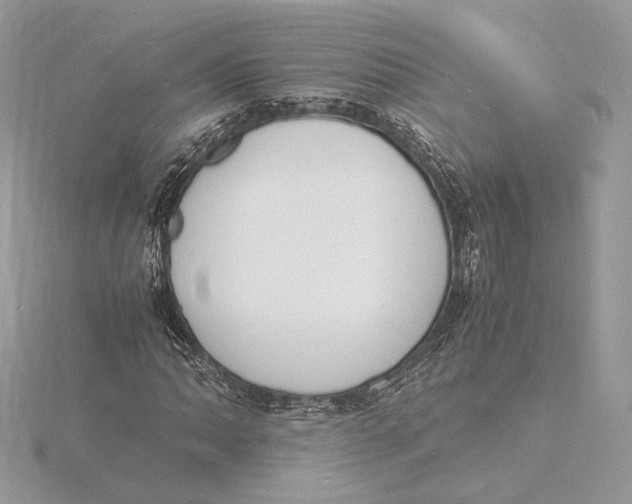 X0000115841062200912041704