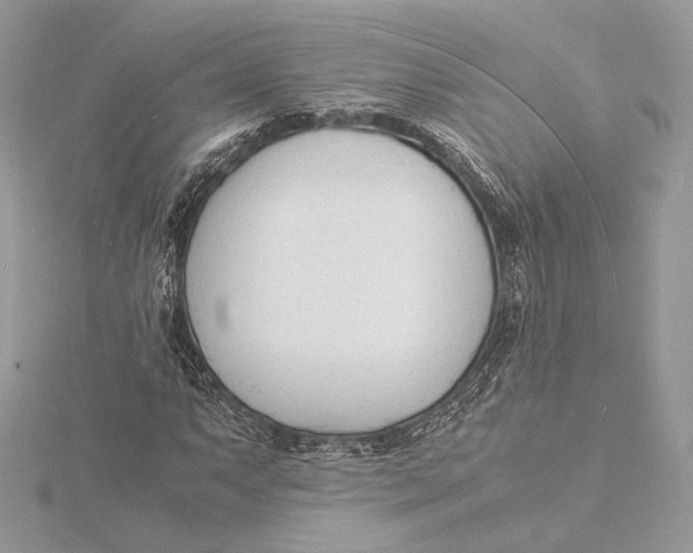 X0000115841063200912041704