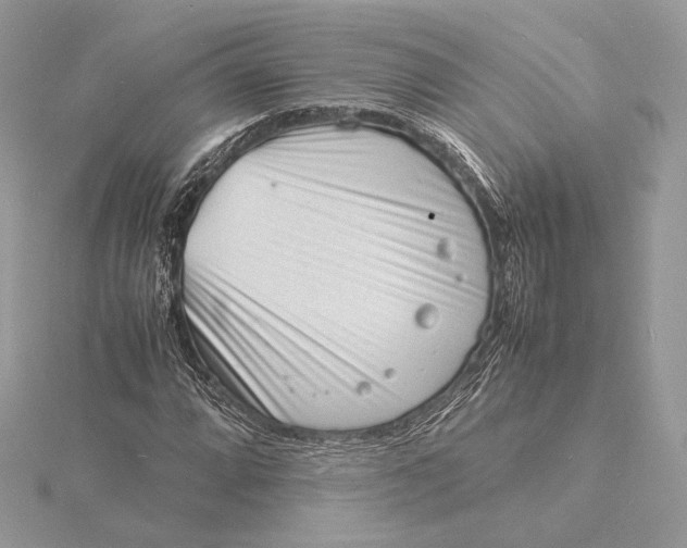 X0000115841064200912041704