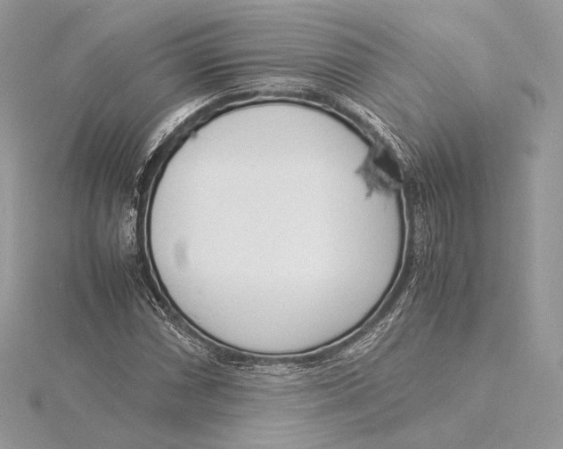 X0000115841066200912041704