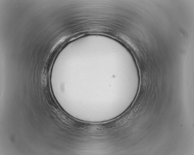 X0000115841067200912041704